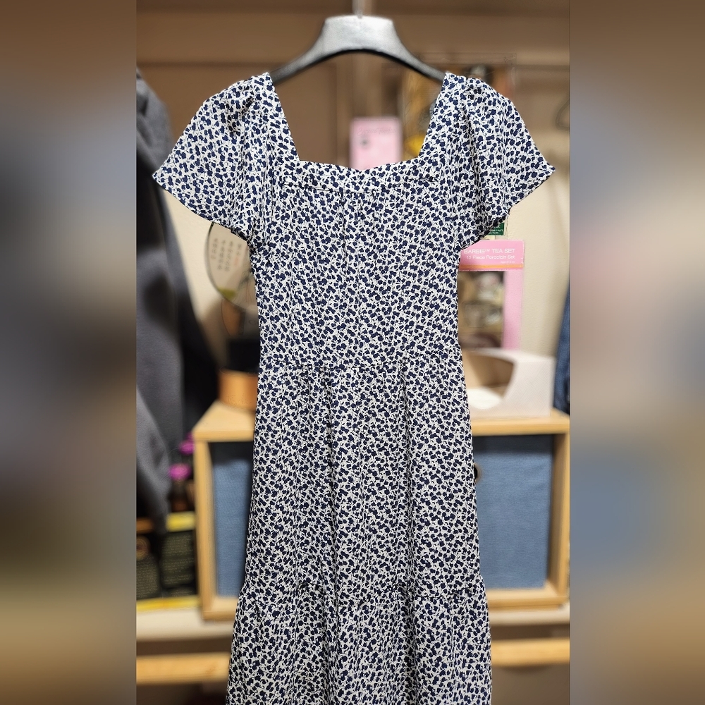 Stylish Blue and White Dress